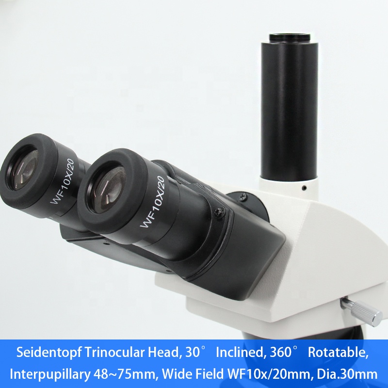 40x-1000x Infinity Optical Sys - Medical Lab Microscope recension och pris