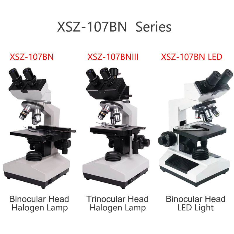 Xsz-107bn Electron Laboratory  - Medical Lab Microscope recension och pris
