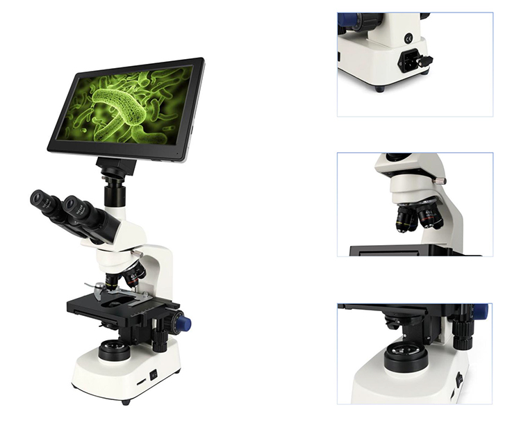 HC-B079A Cheap Microscope Elec - Medical Lab Microscope recension och pris
